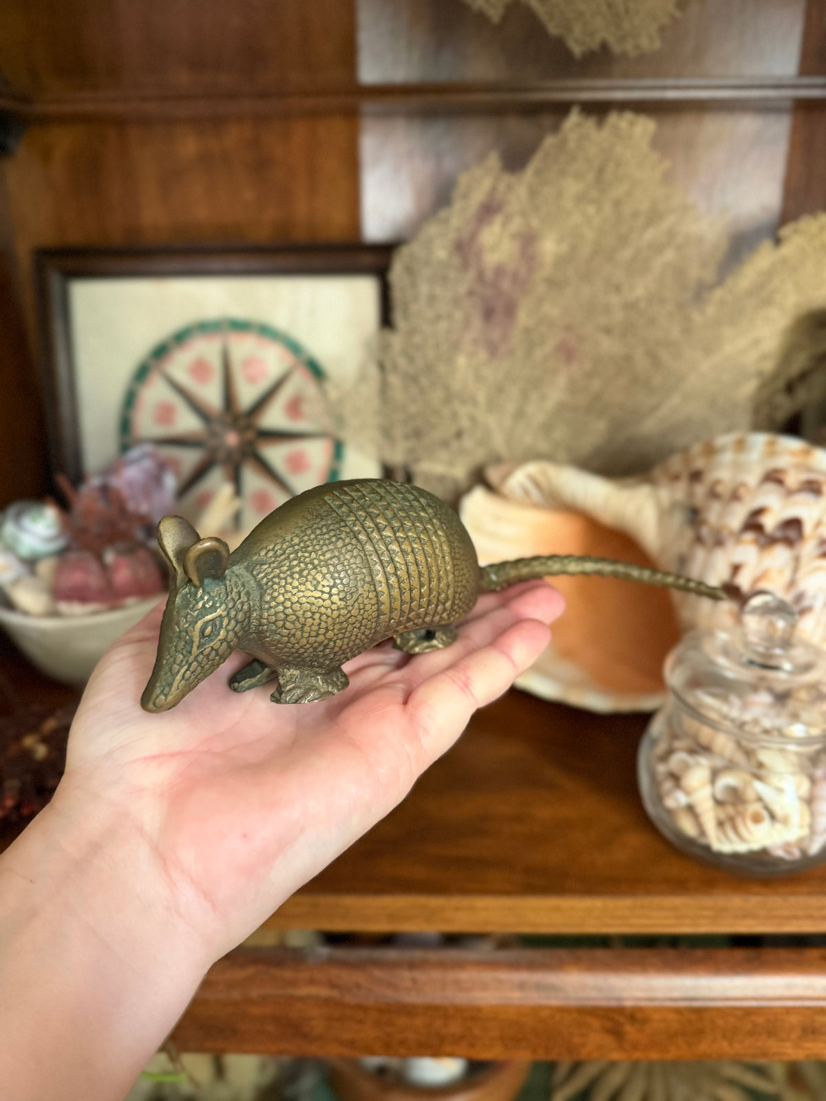 vintage brass armadillo