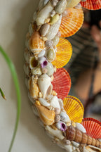 vintage seashell mirror
