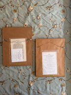 pair 19th century botanical engravings