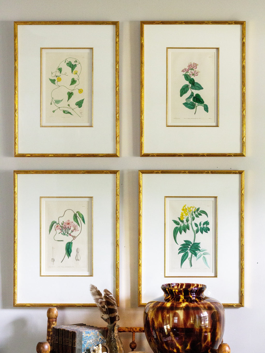 Set of four 19th c botanical engravings