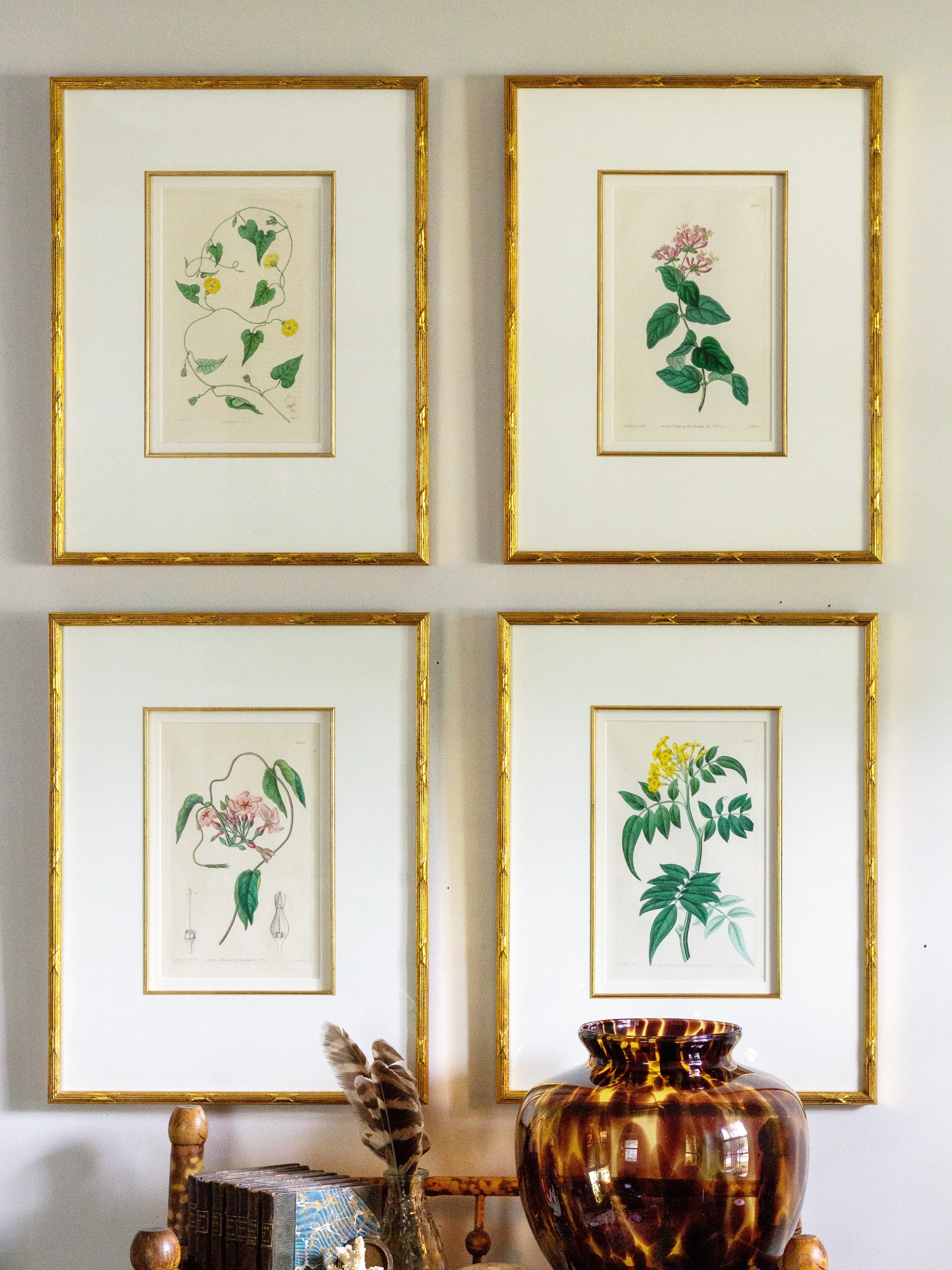 Set of four 19th c botanical engravings