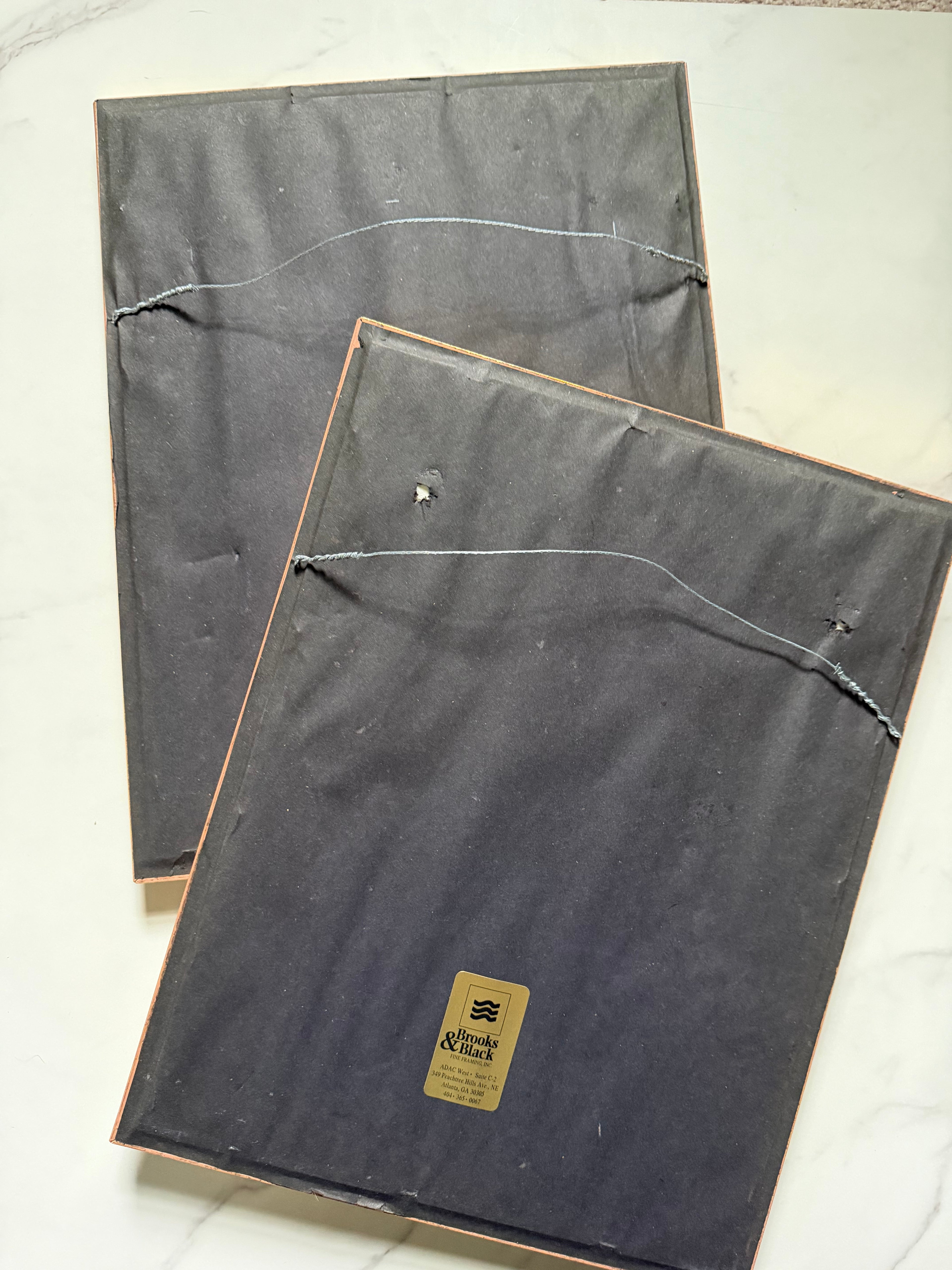 Set of four 19th c botanical engravings