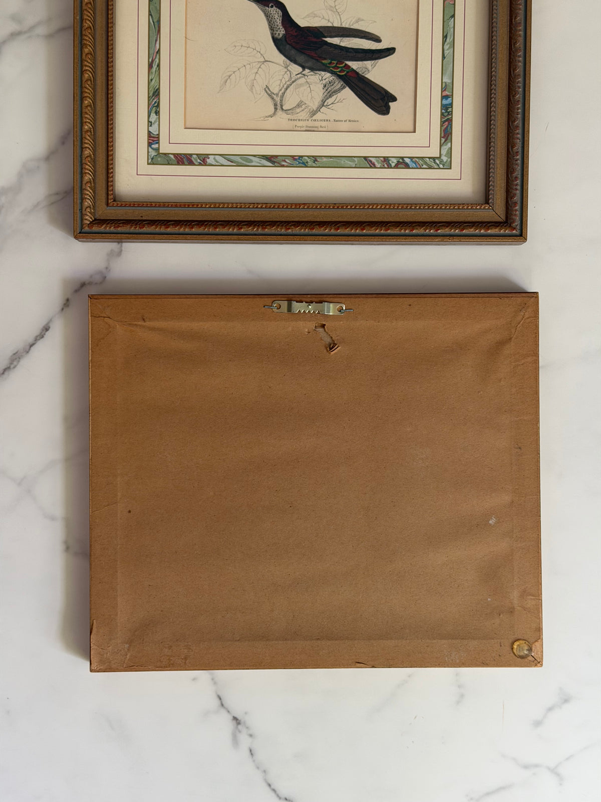 pair of vintage hummingbird prints