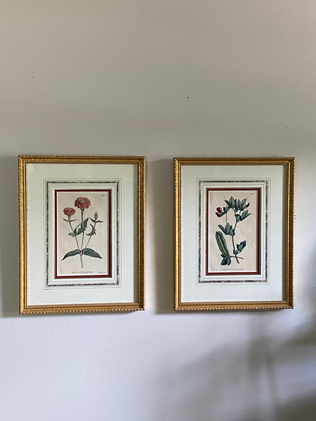 Pair 18th c botanical engravings
