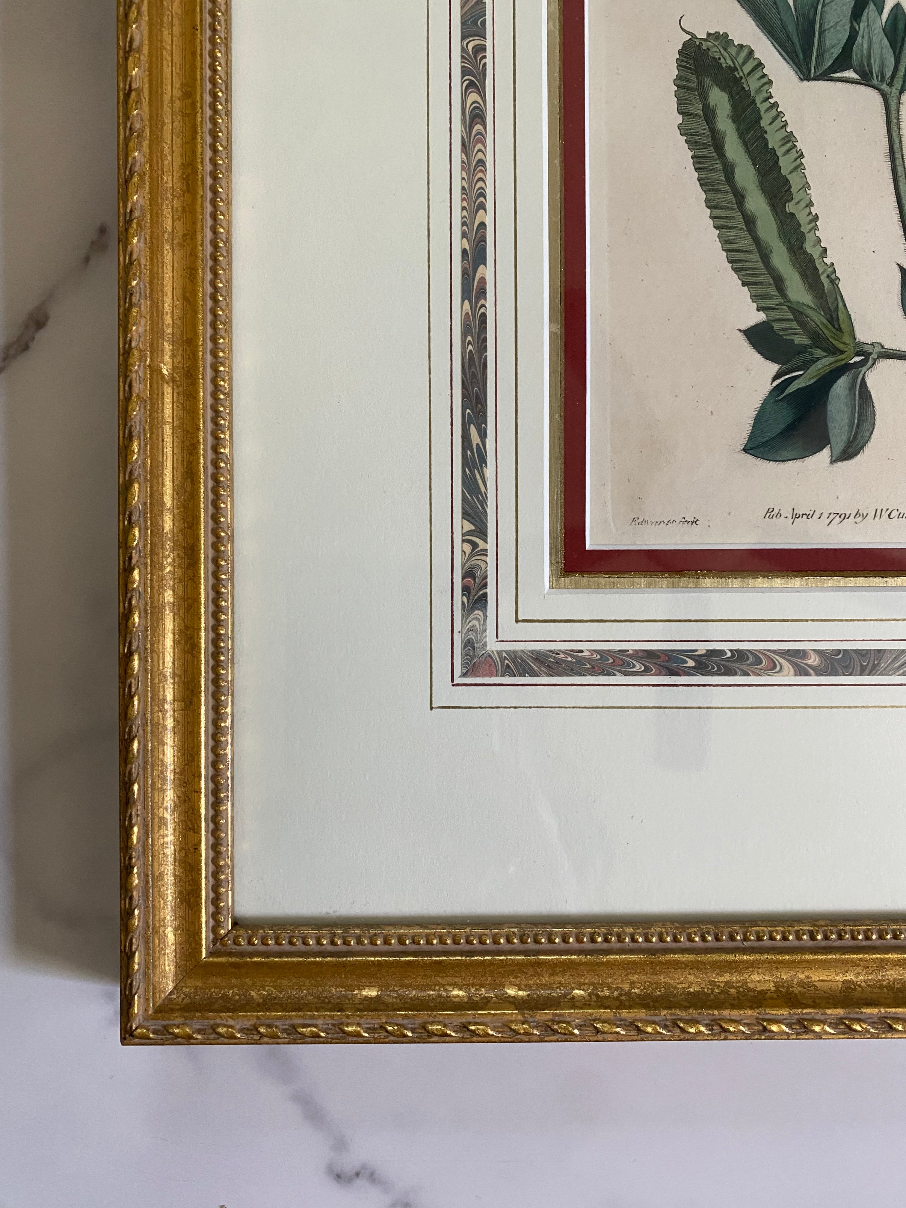 Pair 18th c botanical engravings