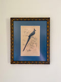 19th century blue jay engraving